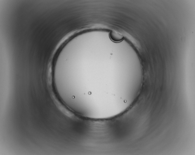 X0000114571126200910191458