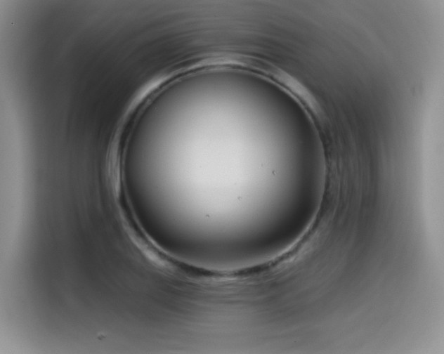 X0000114571127200910191458