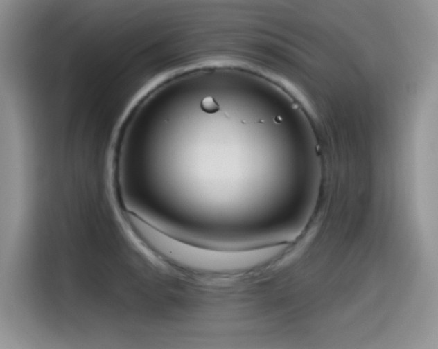 X0000114571134200910191458