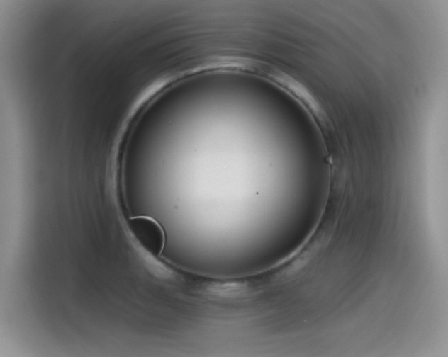 X0000114571135200910191458