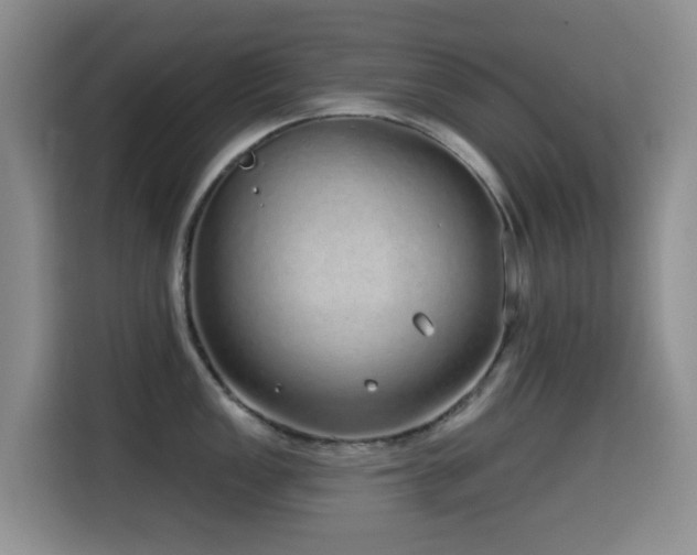 X0000114571149200910191458