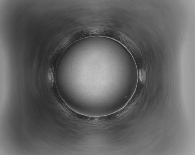 X0000114571155200910191457