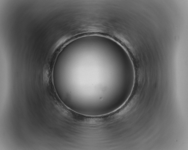 X0000114571163200910191457