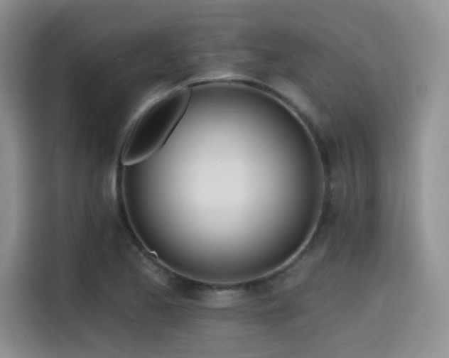 X0000114571173200910191457