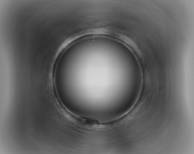X0000114571176200910191457
