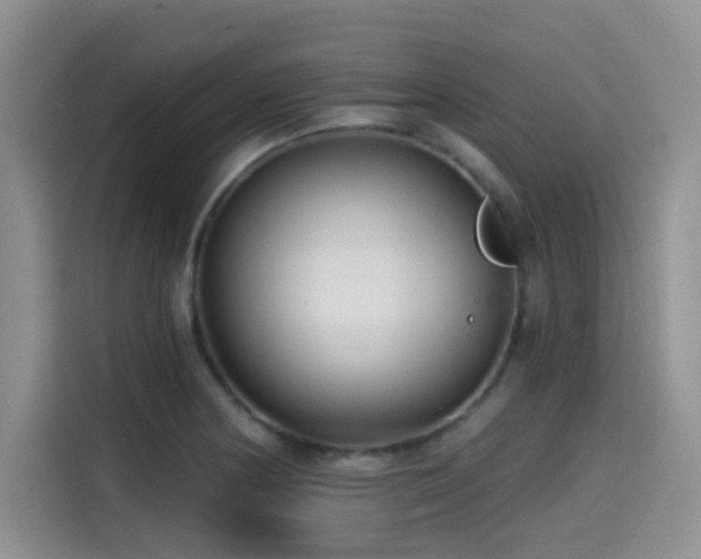 X0000114571178200910191457