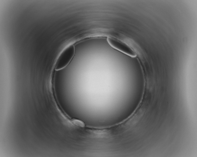 X0000114571189200910191457