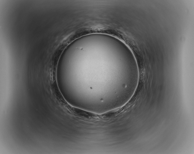 X0000114571205200910191456