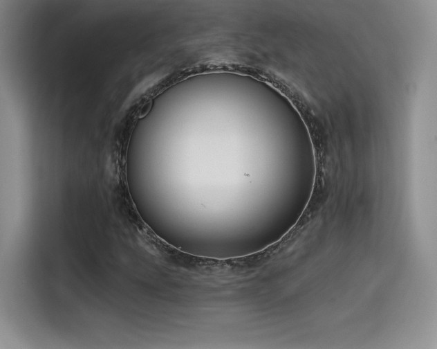 X0000114571207200910191456
