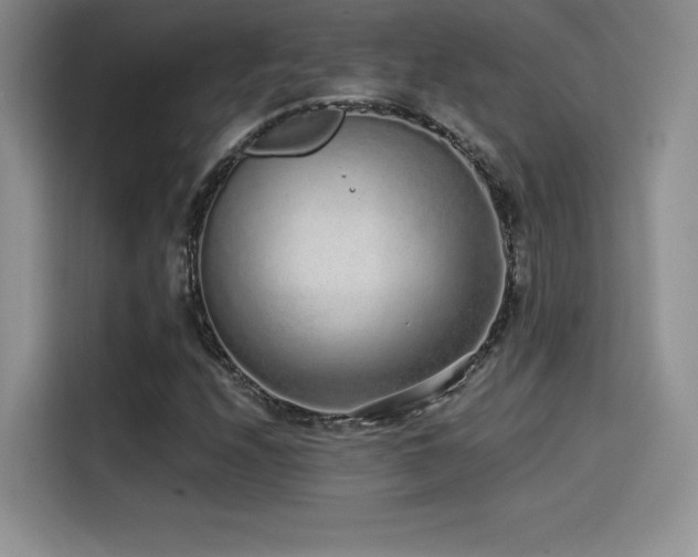 X0000114571208200910191456