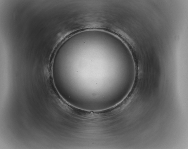 X0000114571212200910191456
