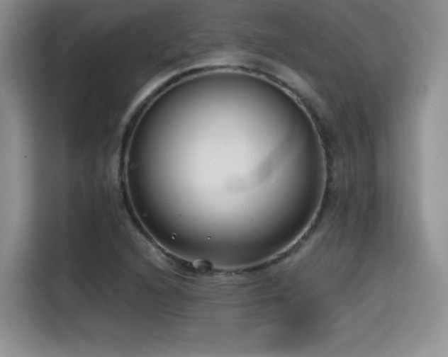 X0000114571216200910191456