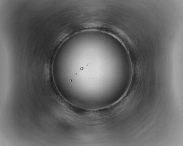 X0000114571217200910191456