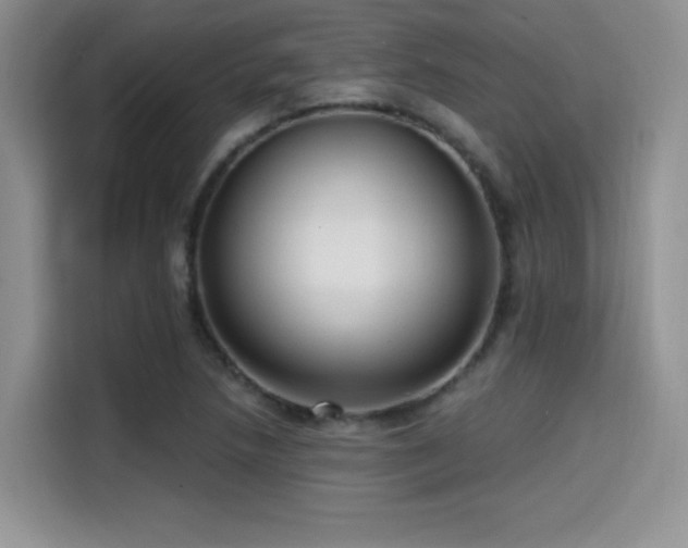 X0000114571218200910191456