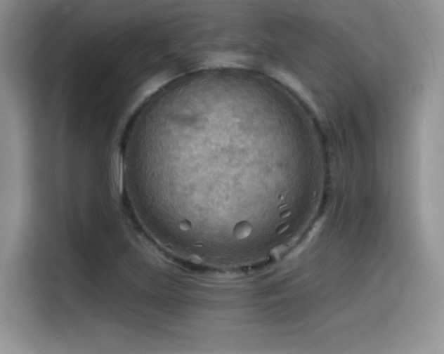 X0000114571219200910191456