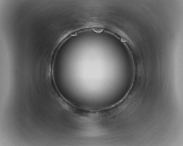 X0000114571220200910191456