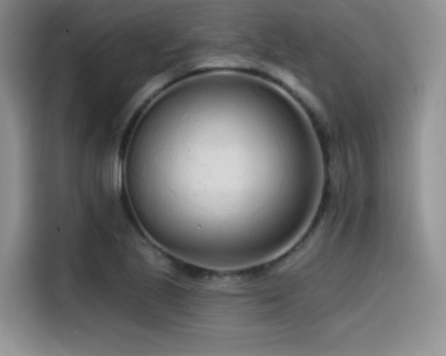 X0000114571221200910191456
