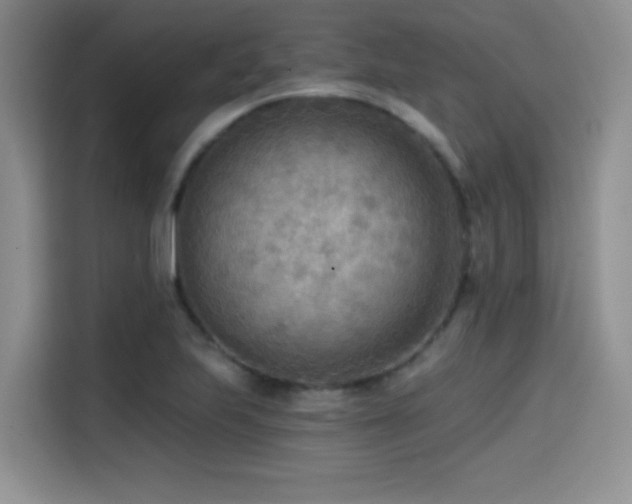 X0000114571223200910191456