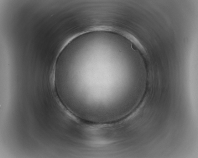 X0000114571228200910191456