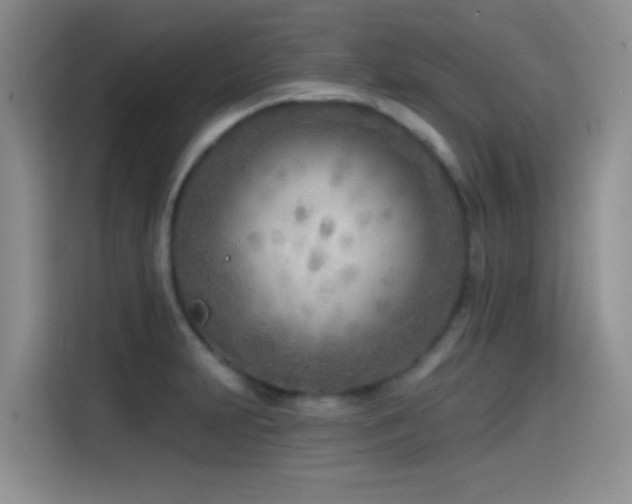 X0000114571231200910191457