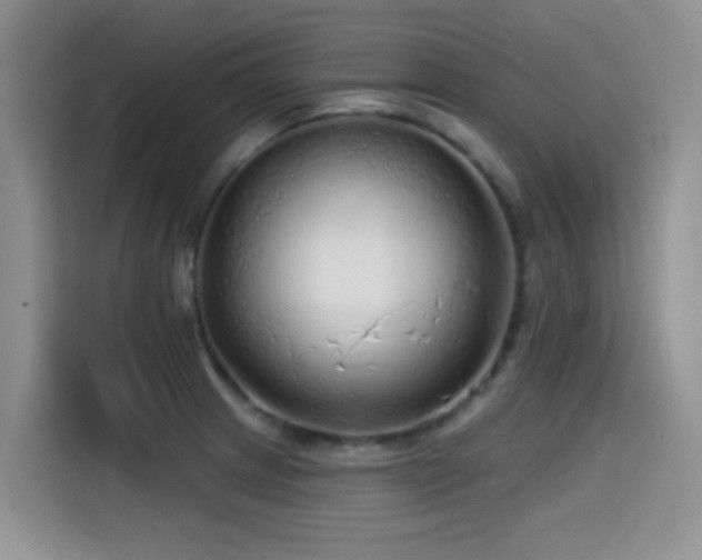 X0000114571233200910191457