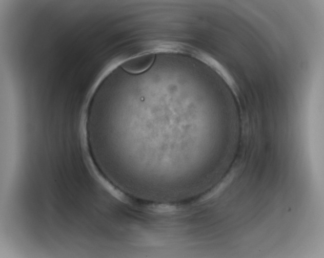 X0000114571235200910191457