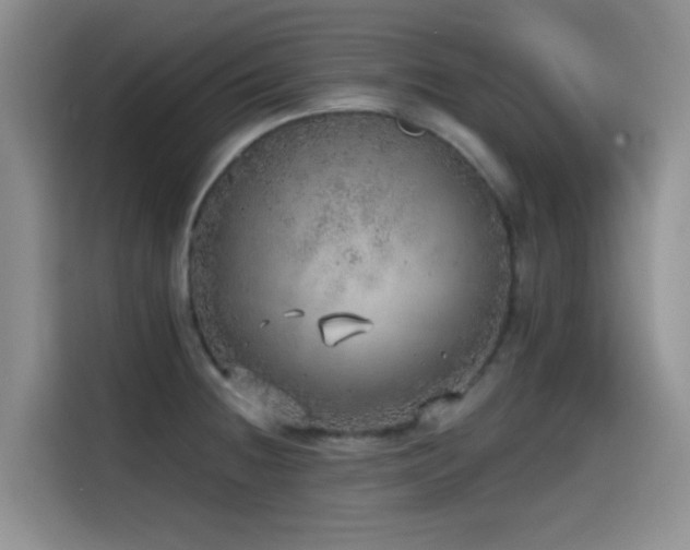 X0000114571236200910191457