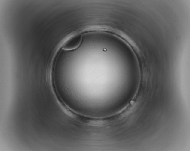 X0000114571237200910191457
