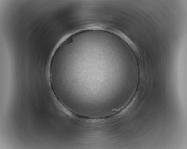 X0000114571240200910191457