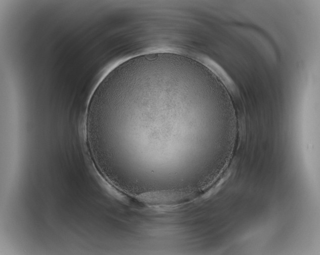 X0000114571244200910191457