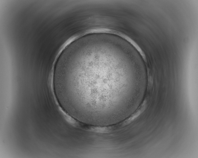 X0000114571245200910191457