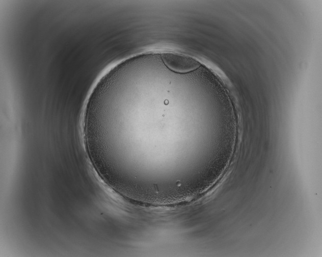 X0000114571248200910191457