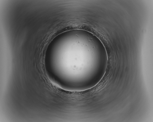 X0000114571249200910191456