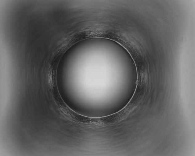 X0000114571250200910191456