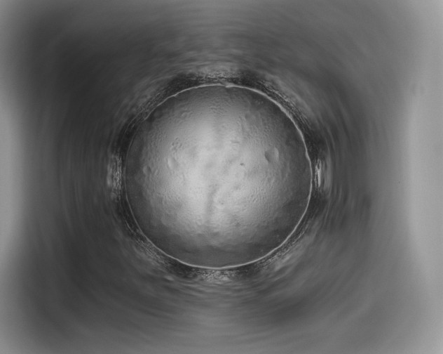 X0000114571251200910191456