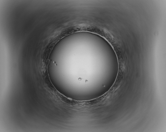 X0000114571253200910191456