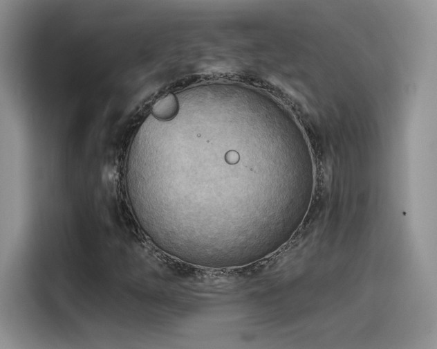 X0000114571254200910191456
