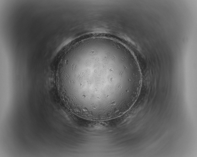 X0000114571255200910191456