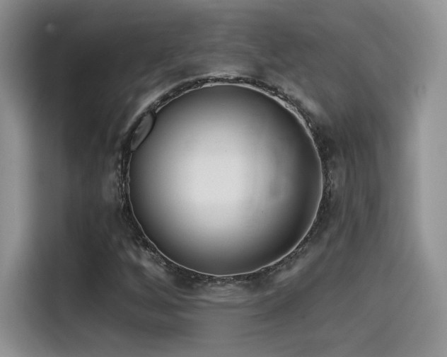 X0000114571256200910191456