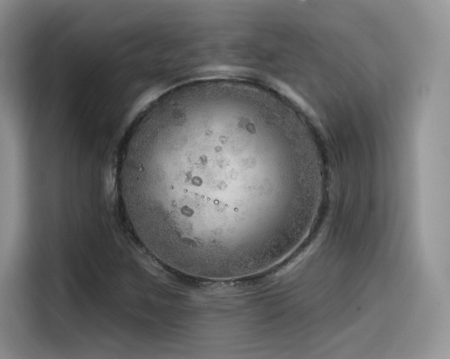 X0000114571259200910191456
