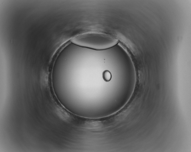 X0000114571260200910191456