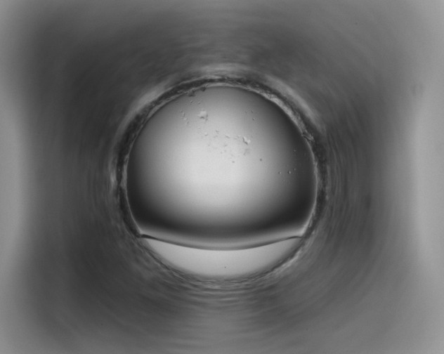 X0000114571261200910191456