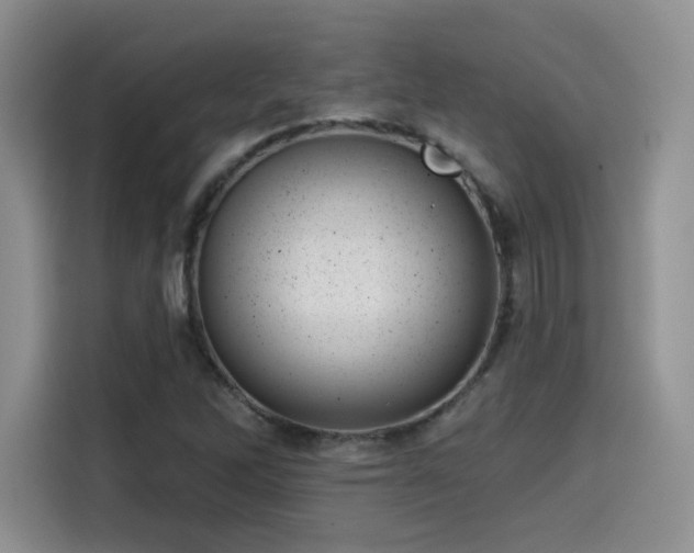 X0000114571262200910191456