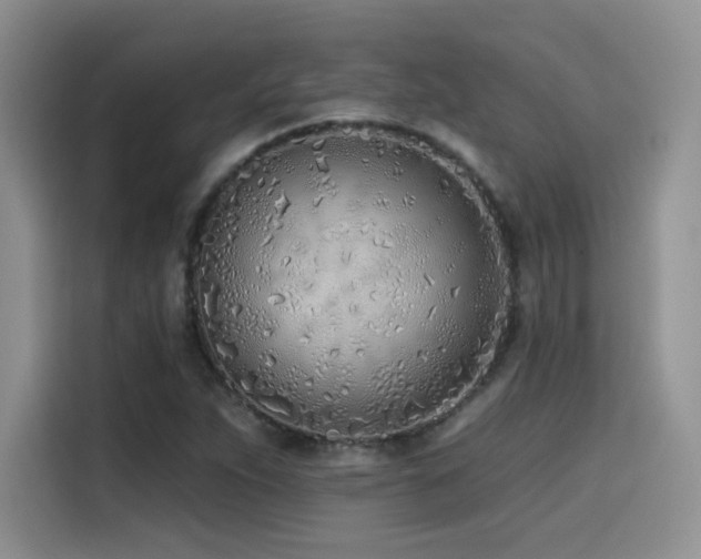 X0000114571263200910191456