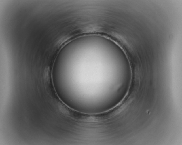 X0000114571265200910191456
