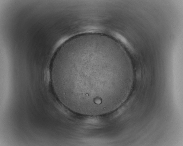 X0000114571267200910191456