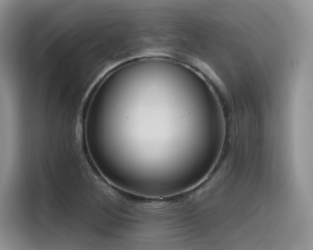 X0000114571268200910191456