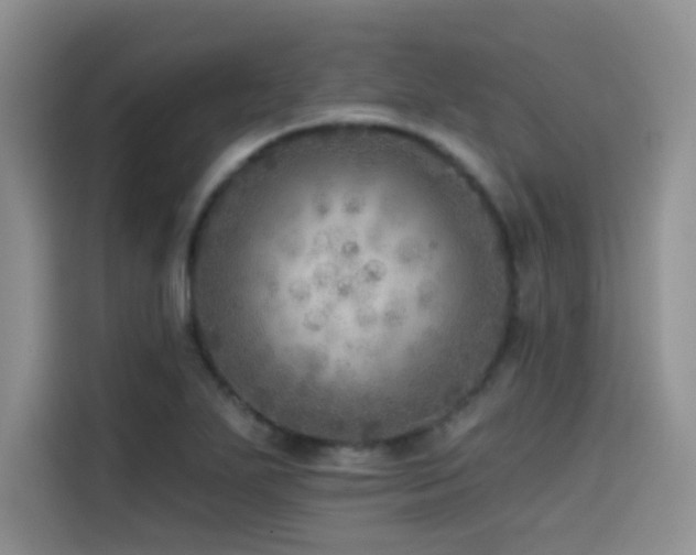 X0000114571271200910191456