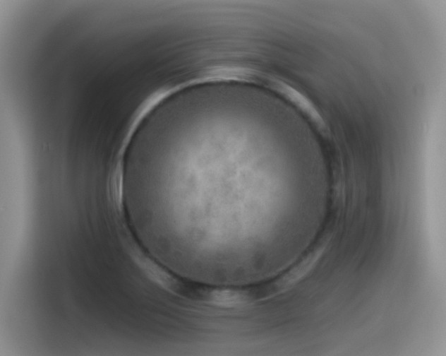 X0000114571275200910191456