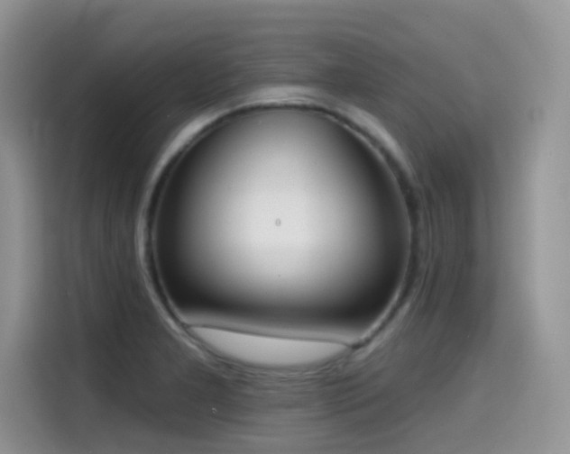 X0000114571277200910191456